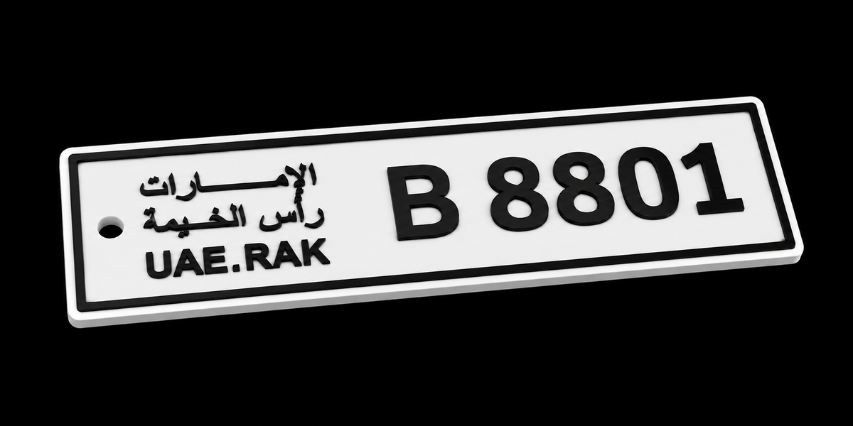 Car Plate Key Chain